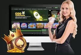 f12bet cassino f12bet cassino